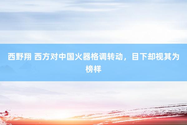 西野翔 西方对中国火器格调转动，目下却视其为榜样