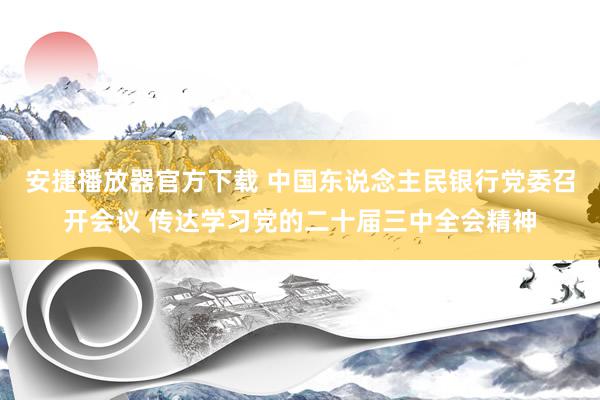 安捷播放器官方下载 中国东说念主民银行党委召开会议 传达学习党的二十届三中全会精神