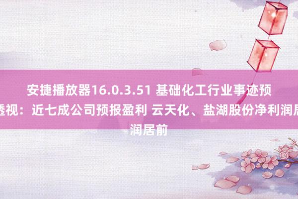 安捷播放器16.0.3.51 基础化工行业事迹预报透视：近七成公司预报盈利 云天化、盐湖股份净利润居前