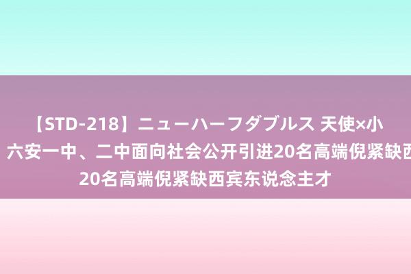 【STD-218】ニューハーフダブルス 天使×小悪魔 沙織 もえ 六安一中、二中面向社会公开引进20名高端倪紧缺西宾东说念主才