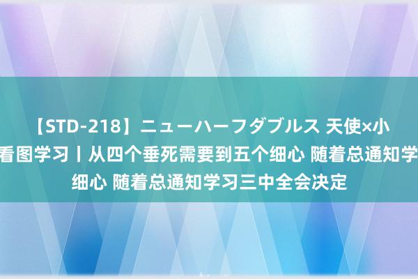 【STD-218】ニューハーフダブルス 天使×小悪魔 沙織 もえ 看图学习丨从四个垂死需要到五个细心 随着总通知学习三中全会决定