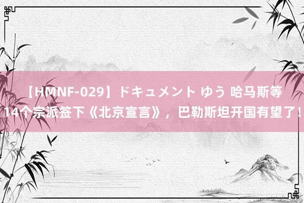 【HMNF-029】ドキュメント ゆう 哈马斯等14个宗派签下《北京宣言》，巴勒斯坦开国有望了！