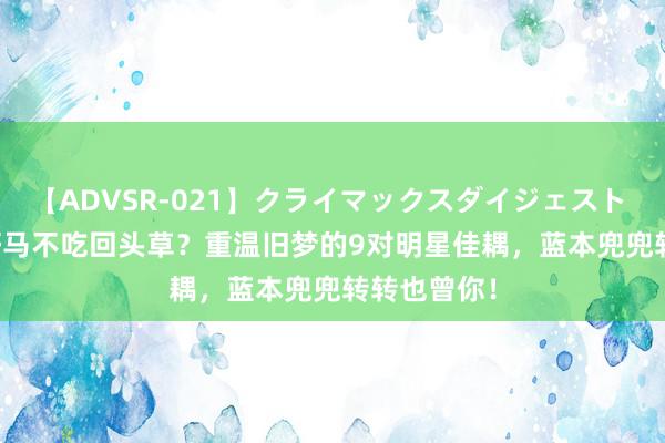 【ADVSR-021】クライマックスダイジェスト 姦鬼 ’10 好马不吃回头草？重温旧梦的9对明星佳耦，蓝本兜兜转转也曾你！