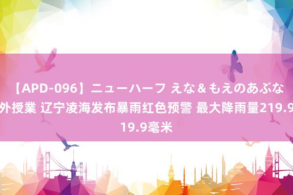 【APD-096】ニューハーフ えな＆もえのあぶない課外授業 辽宁凌海发布暴雨红色预警 最大降雨量219.9毫米