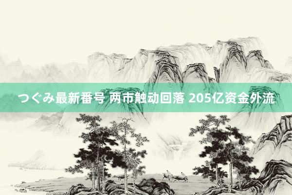 つぐみ最新番号 两市触动回落 205亿资金外流