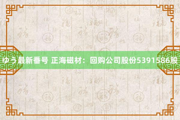 ゆう最新番号 正海磁材：回购公司股份5391586股