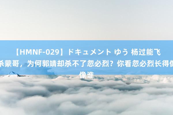 【HMNF-029】ドキュメント ゆう 杨过能飞石杀蒙哥，为何郭靖却杀不了忽必烈？你看忽必烈长得像谁