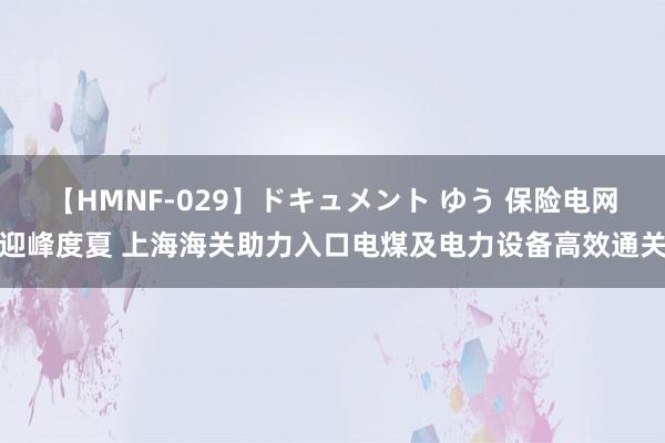 【HMNF-029】ドキュメント ゆう 保险电网迎峰度夏 上海海关助力入口电煤及电力设备高效通关