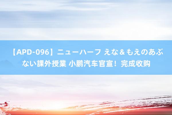 【APD-096】ニューハーフ えな＆もえのあぶない課外授業 小鹏汽车官宣！完成收购