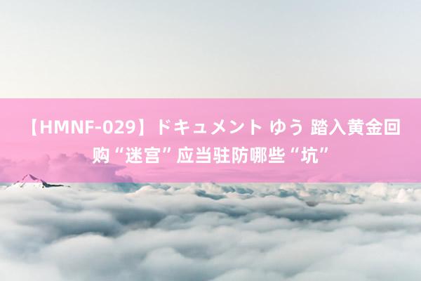 【HMNF-029】ドキュメント ゆう 踏入黄金回购“迷宫”应当驻防哪些“坑”