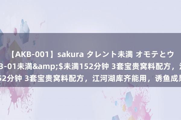 【AKB-001】sakura タレント未満 オモテとウラ</a>2009-03-01未満&$未満152分钟 3套宝贵窝料配方，江河湖库齐能用，诱鱼成果特别好