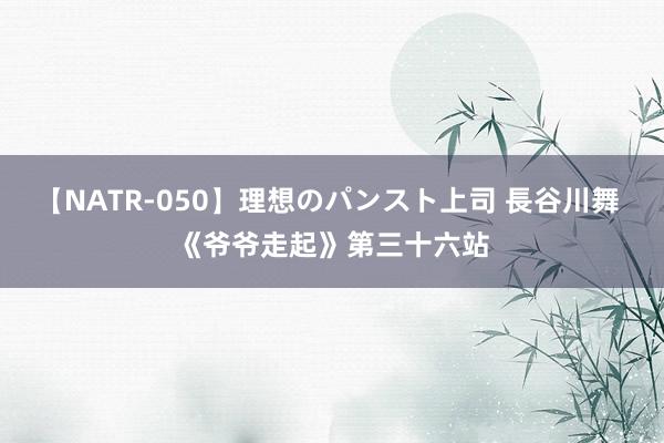 【NATR-050】理想のパンスト上司 長谷川舞 《爷爷走起》第三十六站