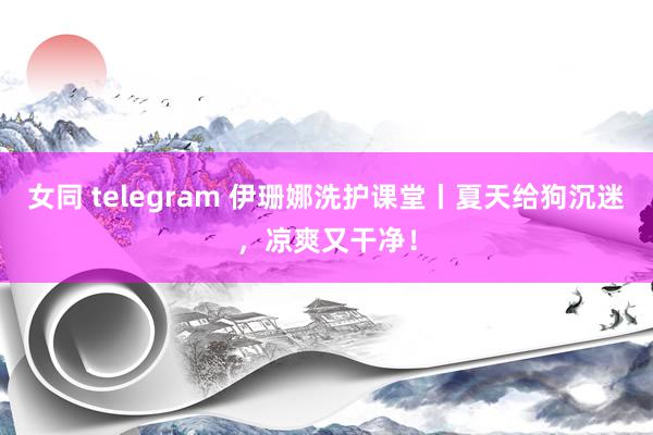 女同 telegram 伊珊娜洗护课堂丨夏天给狗沉迷，凉爽又干净！