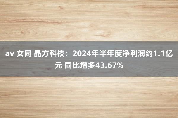 av 女同 晶方科技：2024年半年度净利润约1.1亿元 同比增多43.67%